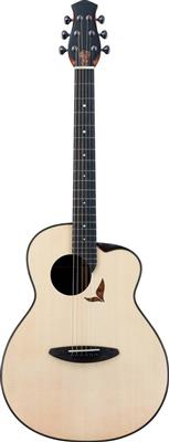 LS700E All Solid Electro Acoustic Guitar