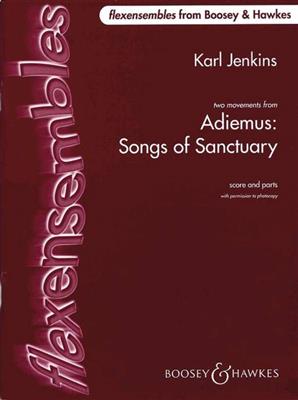 Karl Jenkins: Adiemus: Songs of Sanctuary: Variables Ensemble