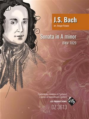 Johann Sebastian Bach: Sonata in A Minor BWV 1029: (Arr. Ansgar Krause): Gitarre Trio / Quartett