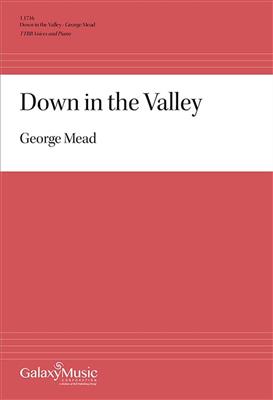 Down in the Valley: (Arr. Henry Clough-Leighter): Männerchor mit Klavier/Orgel
