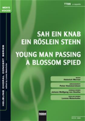 Young man passing a blossom spied/Sah ein Knab: (Arr. Peter Hammersteen): Männerchor mit Begleitung