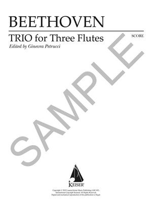 Ludwig van Beethoven: Trio for Three Flutes: Flöte Ensemble