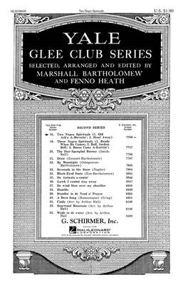 Traditional: Two Negro Spirituals: (Arr. Marshall Bartholomew): Männerchor mit Begleitung