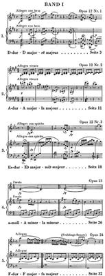 Ludwig van Beethoven: Sonata For Violin And Piano Volume 1: Violine mit Begleitung
