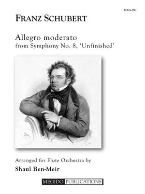 Franz Schubert: Allegro Moderato from Symphony No. 8: (Arr. Shaul Ben-Meir): Flöte Ensemble