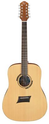 Triad 10E Gloss Electro Acoustic Guitar 10 String