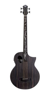 Dragonfly Forte Port Fretless Acoustic Bass Guitar