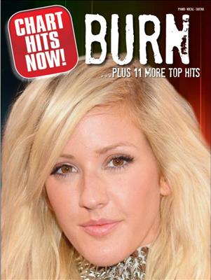 Chart Hits Now! Burn + 11 More Top Hits: Klavier, Gesang, Gitarre (Songbooks)