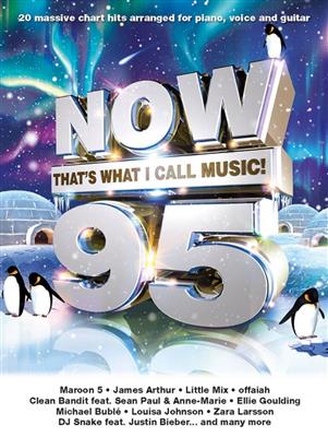 Now That's What I Call Music 95: Klavier, Gesang, Gitarre (Songbooks)