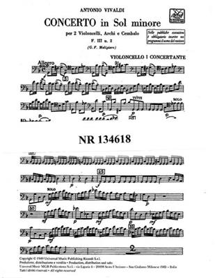Antonio Vivaldi: Concerto In G Minor F111/2 RV531: Orchester