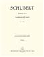 Franz Schubert: Symphony No.1 In D - D 82: Orchester