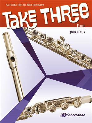 Johan Nijs: Take Three: Variables Ensemble