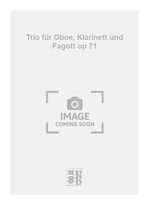 Marcel Mihalovici: Trio für Oboe, Klarinett und Fagott op 71: Holzbläserensemble