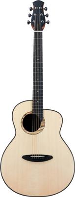 LS600 All Solid Acoustic Guitar