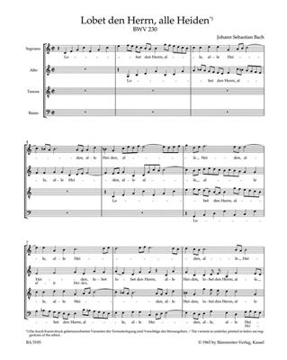 Johann Sebastian Bach: Motet No.6 Lobet Den Herrn, Alle Heiden BWV 230: Gesang Solo
