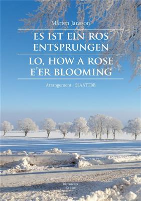 Es ist ein Ros Entsprungen: (Arr. Mårten Jansson): Gemischter Chor mit Begleitung