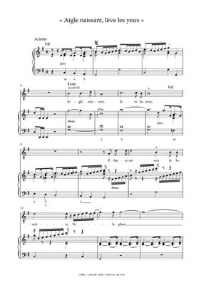 Airs d'Opéra: Haute-contre Vol. 2: Gesang mit Klavier