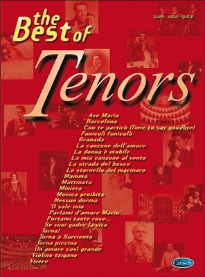 The Best Of Tenors: Klavier, Gesang, Gitarre (Songbooks)