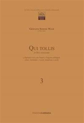 Giovanni Simone Mayr: Qui tollis Vol. 3: Orchester