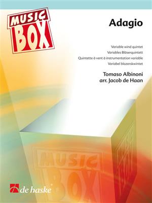 Tomaso Albinoni: Adagio: (Arr. Jacob de Haan): Variables Ensemble