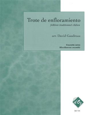 Trote de enfloramiento (trad. chilien): Kammerensemble