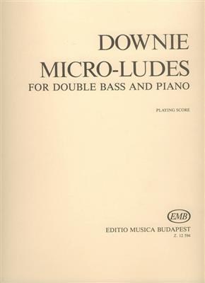 Gordon Downie: Micro-ludes: Kontrabass mit Begleitung