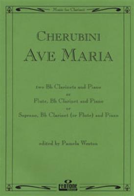 Luigi Cherubini: Ave Maria: (Arr. Robin de Smet): Gesang mit sonstiger Begleitung