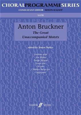 Anton Bruckner: The Great Unaccompanied Motets: Gesang Solo