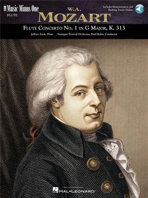 Concerto No. 1 in G Major, K. 313: Flöte Solo