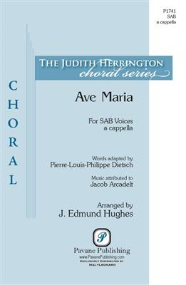 Ave Maria: Gemischter Chor mit Begleitung