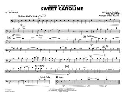 Neil Diamond: Sweet Caroline: (Arr. Tim Waters): Marching Band