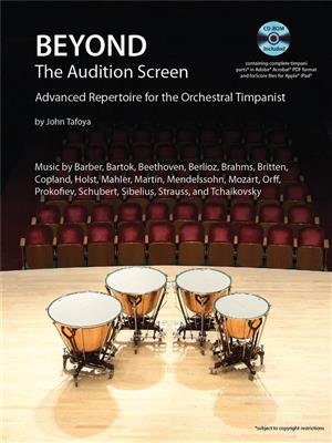 Beyond the Audition Screen: Schlagzeug