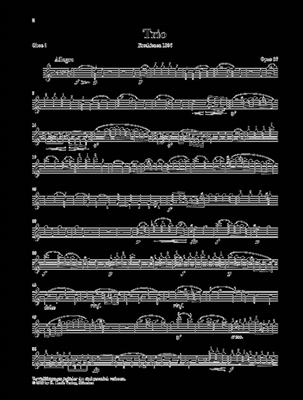 Ludwig van Beethoven: Trio In C Op.87/Variations In C WoO 28: Klaviertrio
