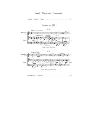 Johannes Brahms: Clarinet Sonatas Op. 120 (Clarinet in B Flat): Klarinette mit Begleitung
