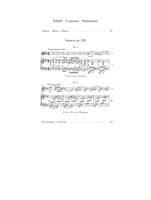 Johannes Brahms: Clarinet Sonatas Op.120 Arranged For Viola: Viola mit Begleitung