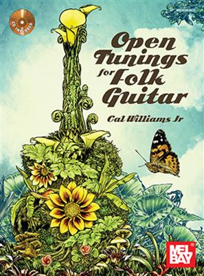 Open Tunings For Folk Guitar (Book/CD Set)