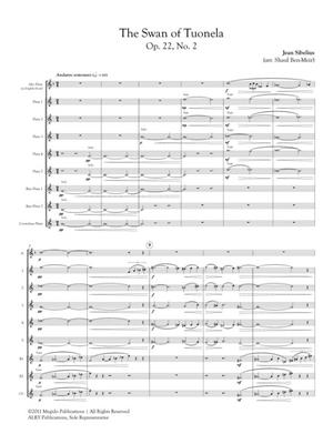 Jean Sibelius: The Swan of Tuonela for Flute Orchestra: (Arr. Shaul Ben-Meir): Flöte Ensemble