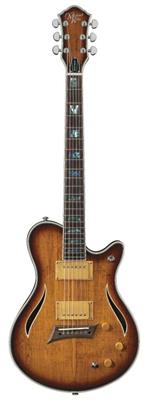 Michael Kelly: Hybrid Special Electric Guitar
