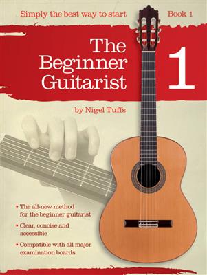 Beginner Guitarist