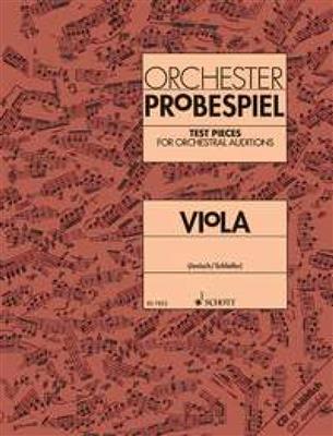 Orchester Probespiel Viola: Viola Solo