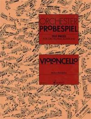 Orchester Probespiel Violoncello: Cello Solo
