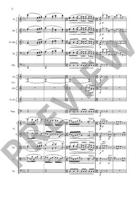 Johannes Brahms: Symphony No.1 In C Minor Op.68: Orchester