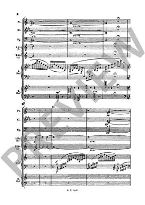Franz Liszt: Sinfonische Dichtung 4 Orpheus: Orchester