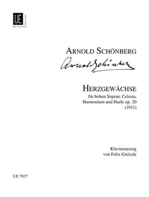 Erwin Schulhoff: Jazz-Like-Partita: Klavier Solo