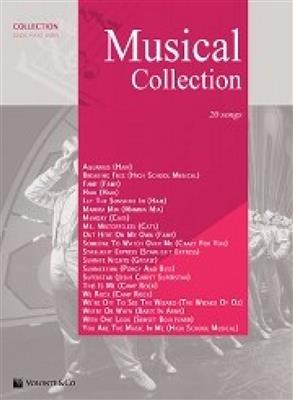 Musical Collection: Klavier, Gesang, Gitarre (Songbooks)