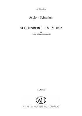 Asbjørn Schaathun: Schoenberg...est mort!: Streichensemble