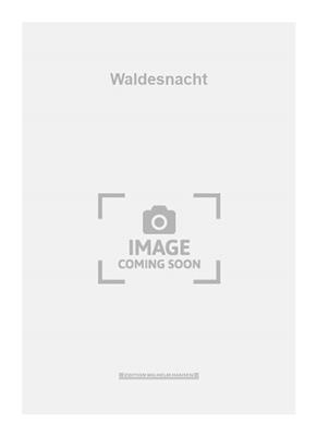 Waldesnacht: Gesang Solo