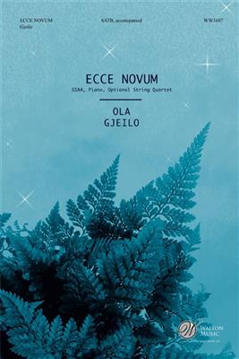 Ola Gjeilo: Ecce Novum: Gemischter Chor mit Begleitung