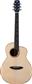 L100E All Solid Electro Acoustic Guitar