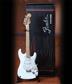 Fender™ Stratocaster™ - Olympic White Finish